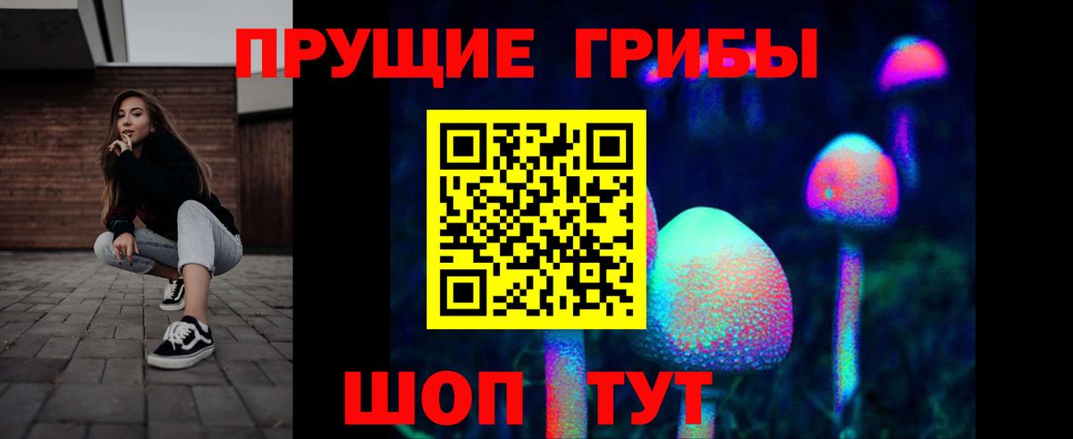 Галлюциногенные грибы Psilocybe Волжский